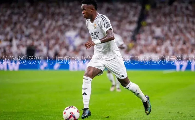 尊龙官方网站官网入口