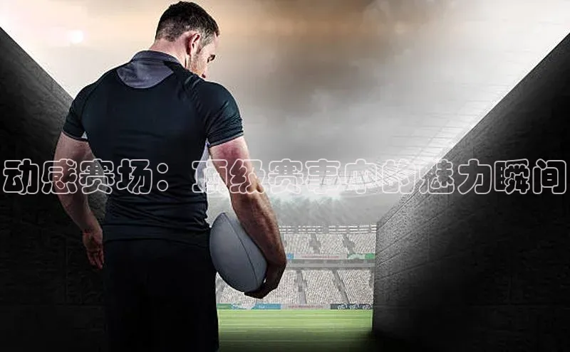 尊龙官方网站官网入口